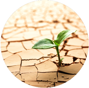 Hm - app slide - Drying dehydration