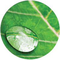 Hm - app slide - surface energy