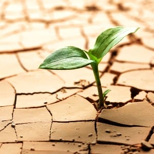 MenuImg - drying-and-dehydration