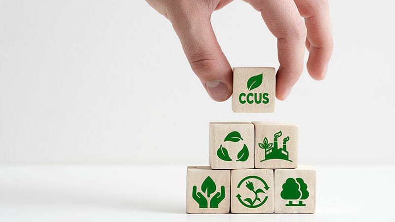 The acronym CCUS Carbon capture, utilization and storage on wood