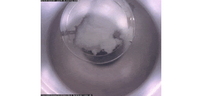 Phase-Change-Gif-padded rze